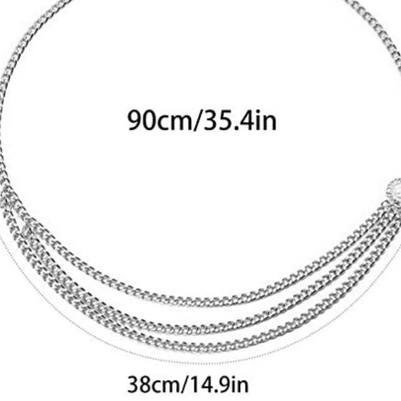 Silver Trendy Waist Chain Link Belt w/Medallions - Picture 6 of 6